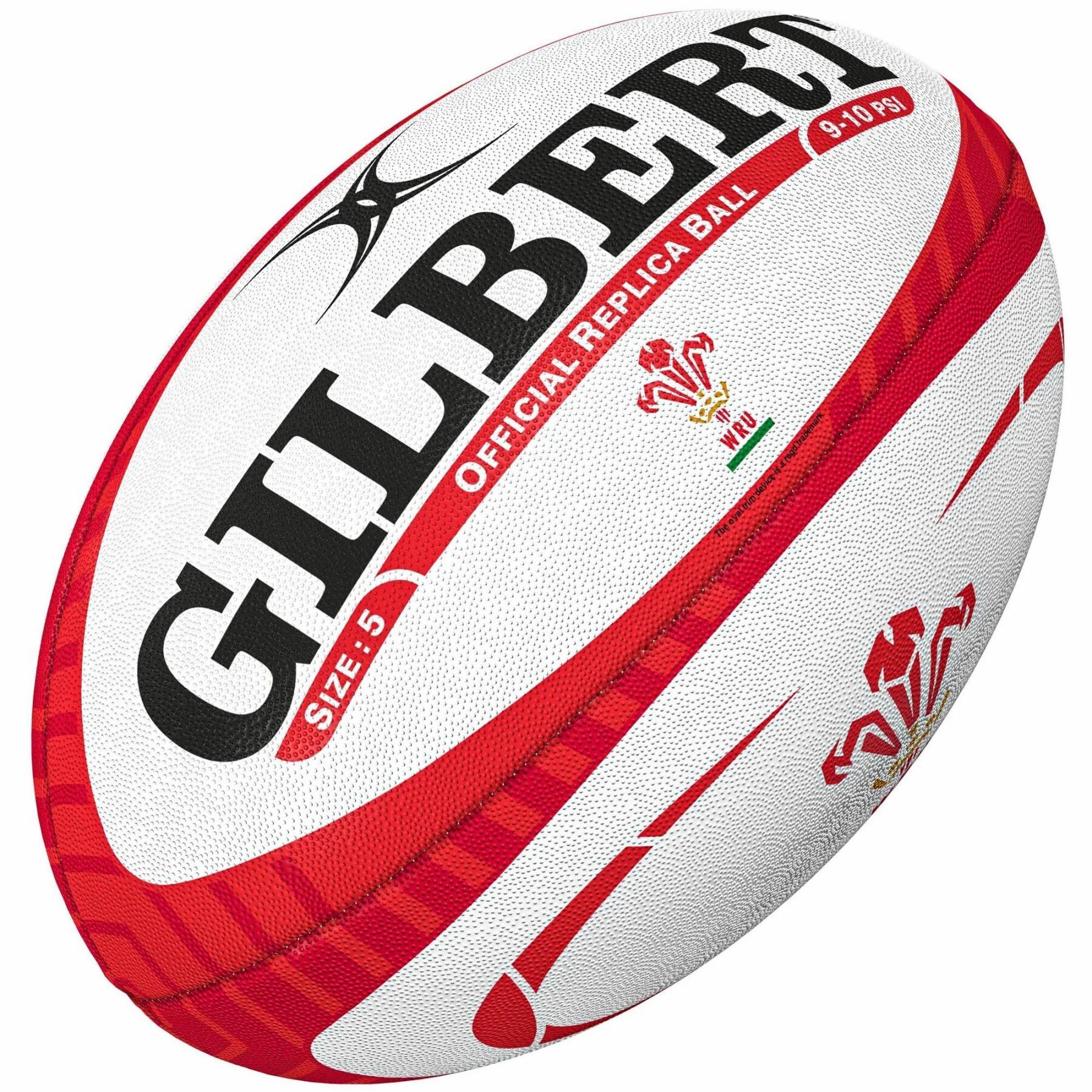 Pack of 10 Balls Wales