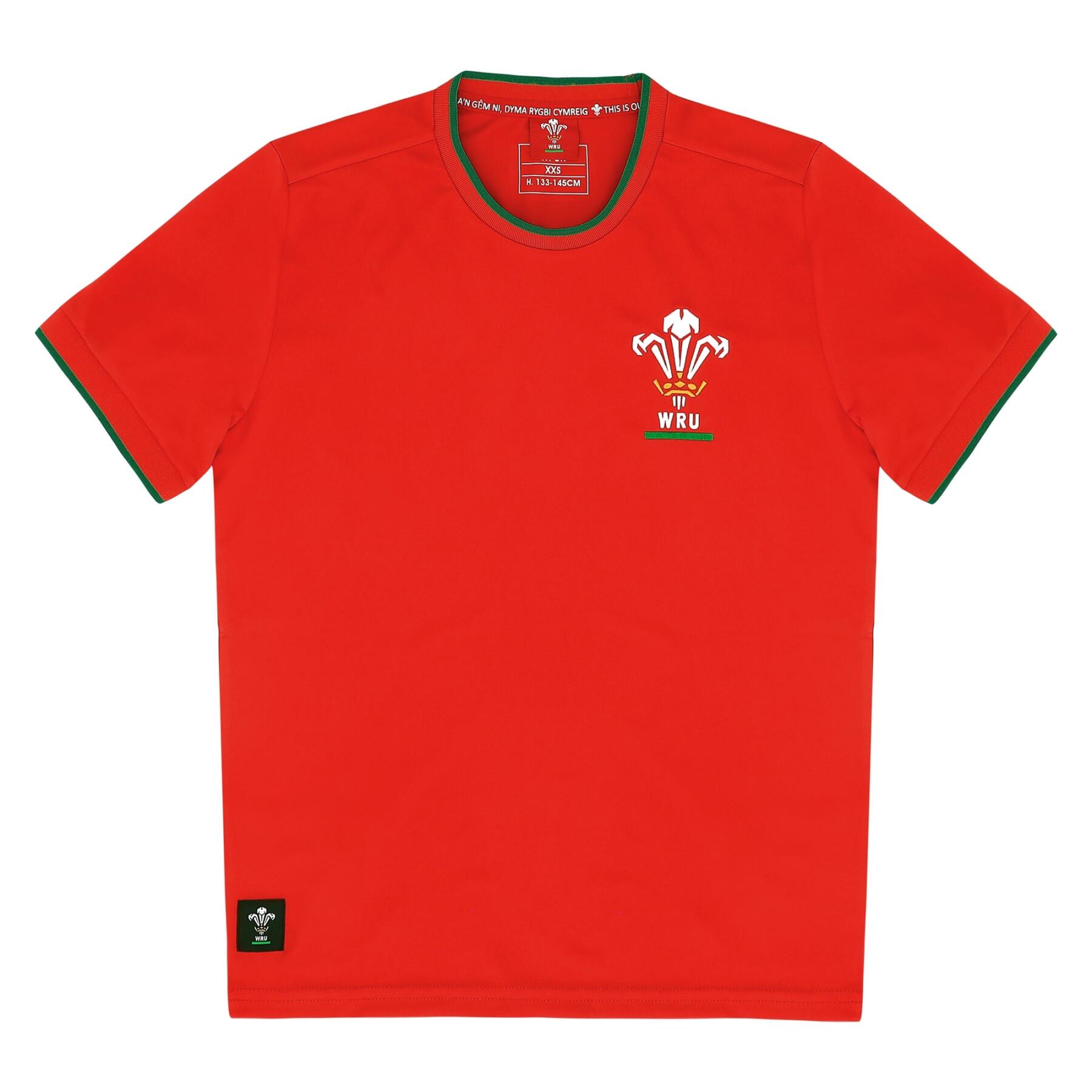 Kid's jersey Pays de Galles Ca Groc