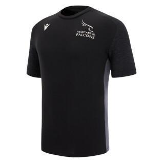 Cotton T-shirt Newcastle Falcons 2022/23