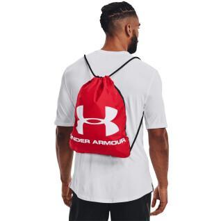 Backpack Under Armour Ozsee