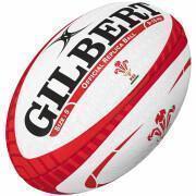 Pack of 10 Balls Wales