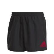 Home shorts Crusaders Rugby Replica 2021/22