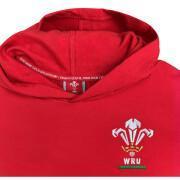 Hoodie Pays de Galles Rugby XV Merch CA Groc